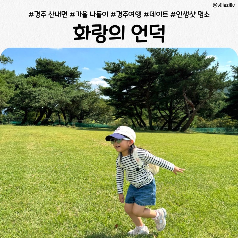 경주 화랑의언덕 가을 나들이｜산내면 가볼만한곳 가족 소풍