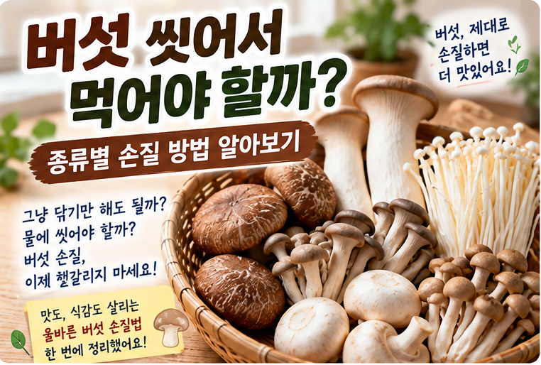 버섯 씻어서 먹어야 할까?｜표고·새송이·팽이·느타리·양송이 종류별 손질 방법