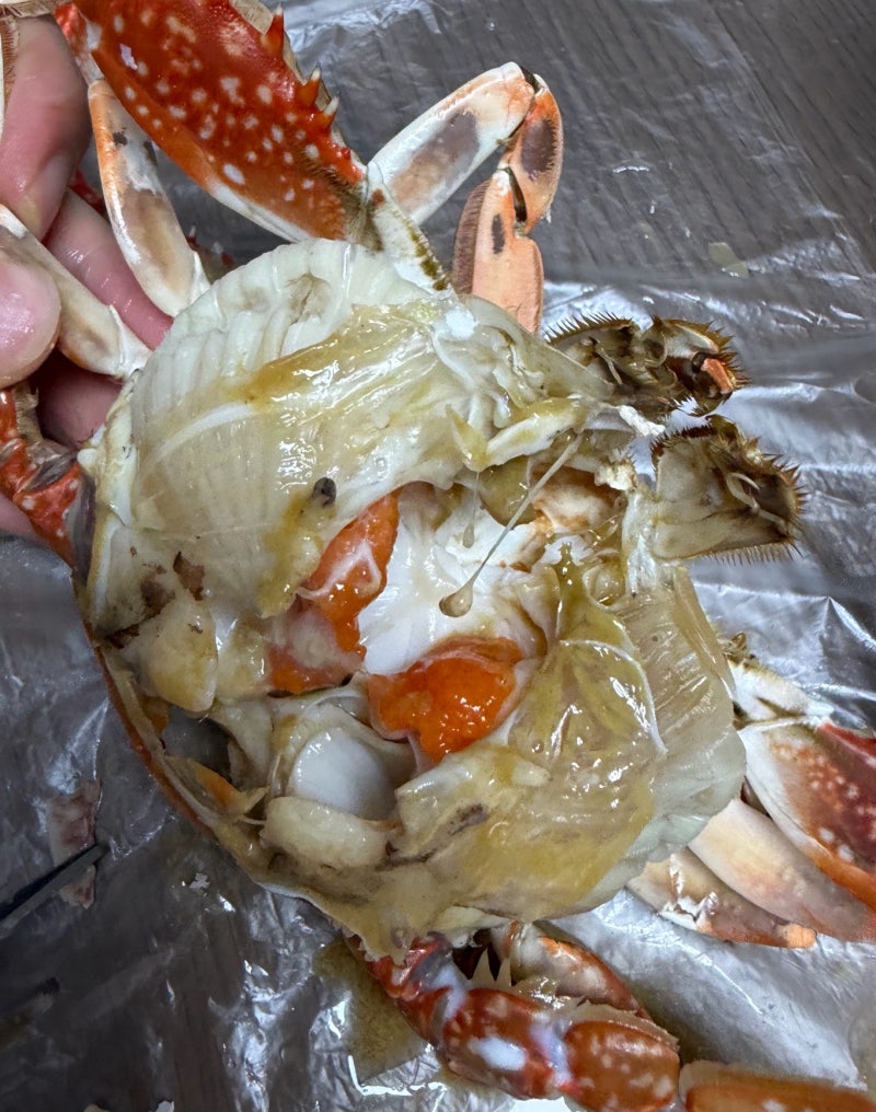 [내돈내산] 톱밥꽃게 3kg 39,800원｜코스트코·트레이더스 꽃게 찾다가 하나로마트에서 산 후기