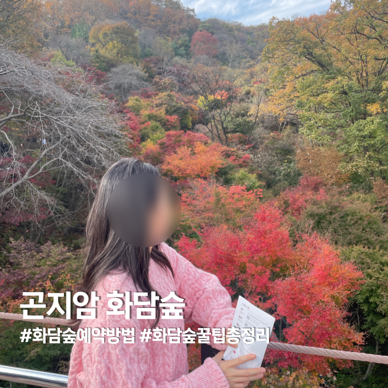 광주 곤지암 화담숲 예약 모노레일 명당 코스 총정리