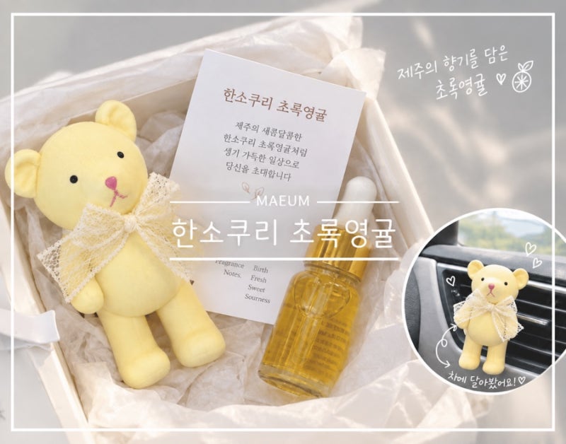 차량용 석고 방향제 추천｜귀여운 곰돌이 방향제, MAEUM 한소쿠리 초록영귤