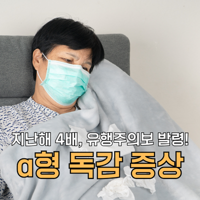 지난해 4배! a형 독감 증상부터 잠복기, 전염성, 격리 의무 및 치료법