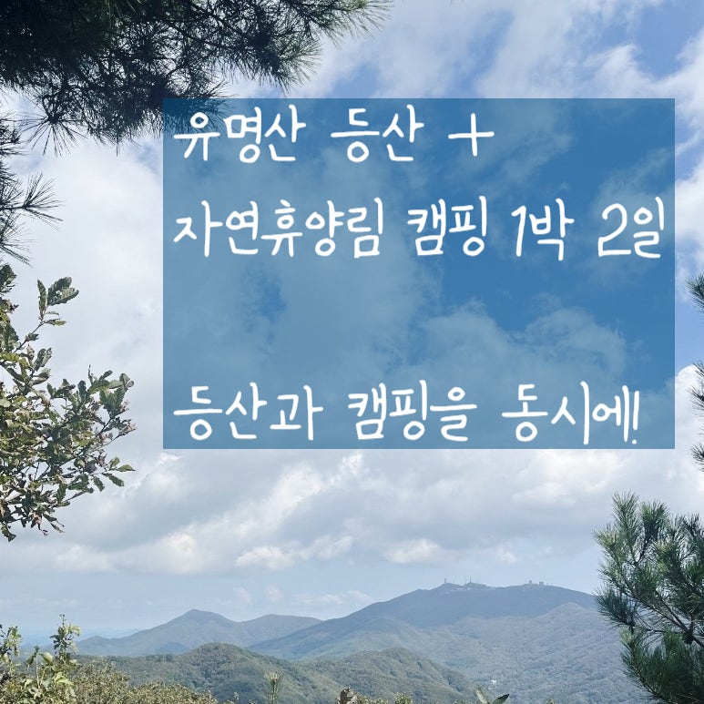 [유명산] 가평 | 등산코스 및 유명산자연휴양림 캠핑 후기
