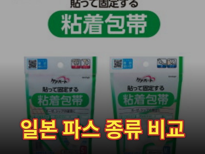 일본 파스 종류 비교, 약국에서 직접 사보고 정리했어요 (2026)