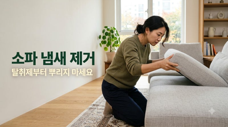 패브릭 소파 냄새 제거, 섬유탈취제 뿌리기 전에 먼저 확인하세요