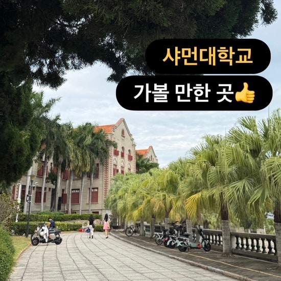 샤먼대학교 가볼만한곳 | 사진스팟·맛집·고덕지도 위치