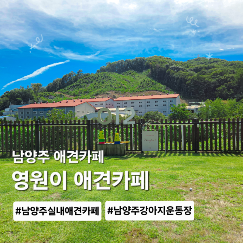 남양주 애견카페 실내 강아지운동장 영원이애견카페