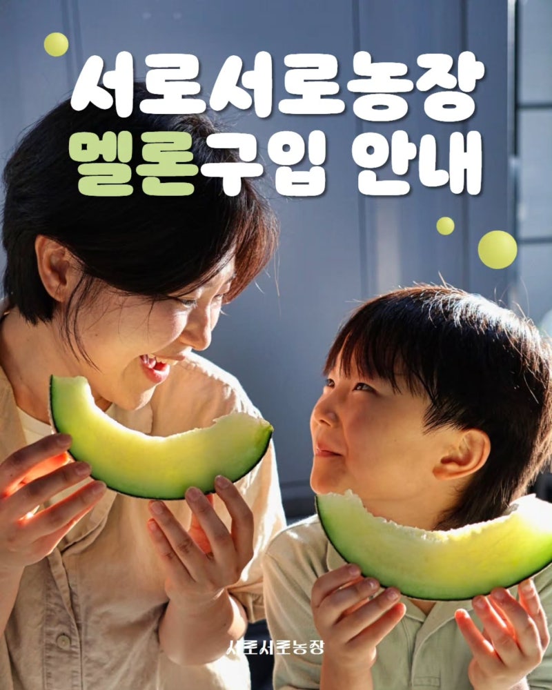 고창 멜론 농장 산지직송 구매