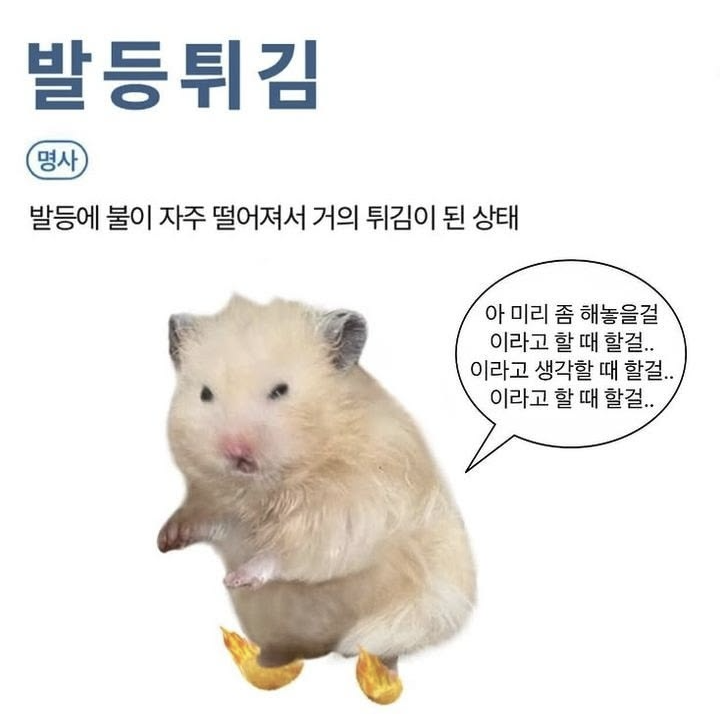 내돈내산 산타토익 환급반 후기 _아직 진행 중 ( 친구 추천 할인 쿠폰 코드 있음.. 함께 고통....