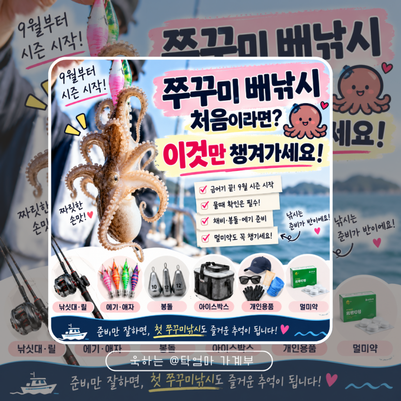 9월 쭈꾸미낚시 초보 준비물 물때부터 채비 봉돌까지 처음 가기 전 체크