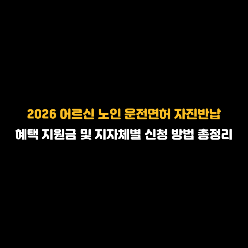 2026 어르신 노인 운전면허 자진반납 혜택 지원금 및 지자체별 신청 방법 총정리