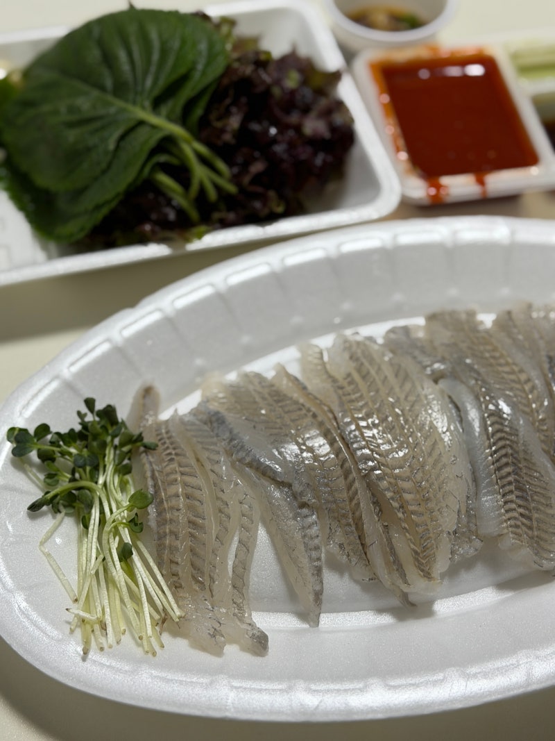 강릉 중앙시장 맛집 무늬오징어 잿방어 제철 회포장 횟집 추천