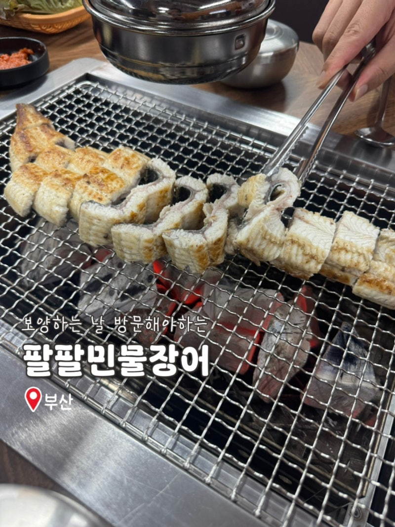 [부산진구] 보양하고 싶은 날, 당감동 민물장어 맛집 팔팔민물장어 (+주차정보, 메뉴추천)