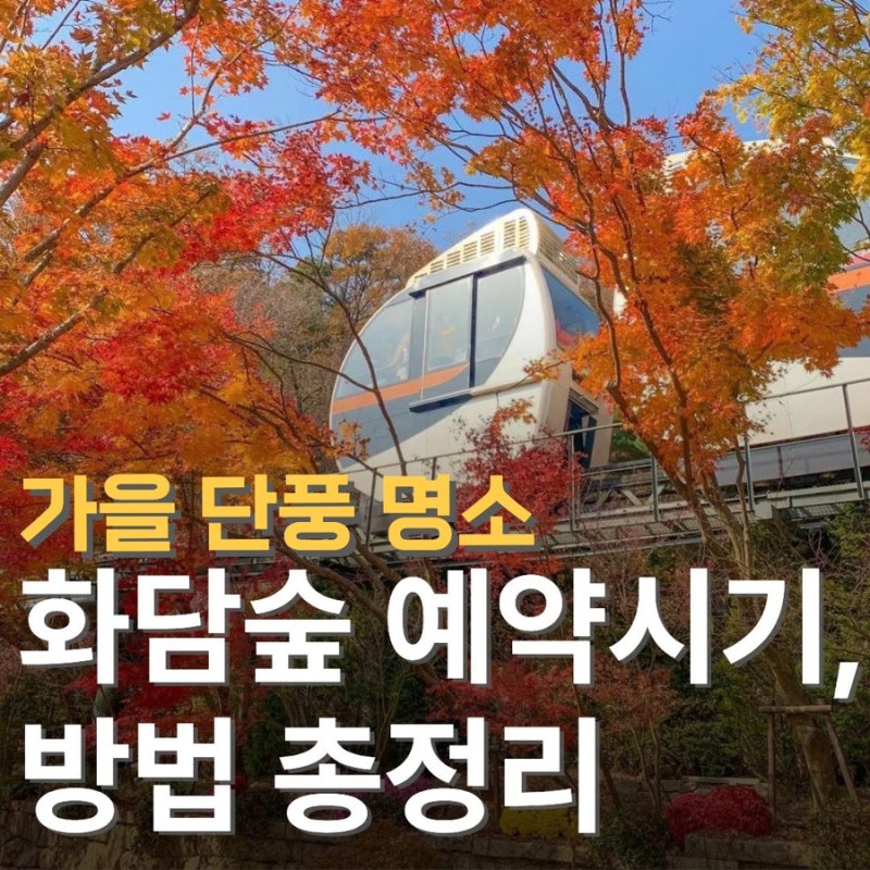2026 화담숲 예약 오픈 언제? 가을 단풍 성수기 모노레일 예약법까지 총 정리