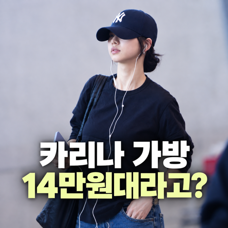 카리나 가방 명품인 줄 알았는데…14만원대라고?