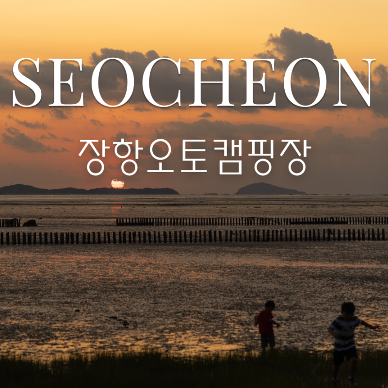 갯벌 체험부터 스카이워크까지! 서천 장항 오토캠핑장 총정리