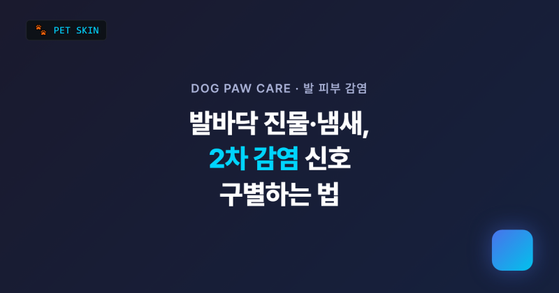 강아지 발바닥 진물·냄새, 세균 vs 곰팡이 2차감염 구별법
