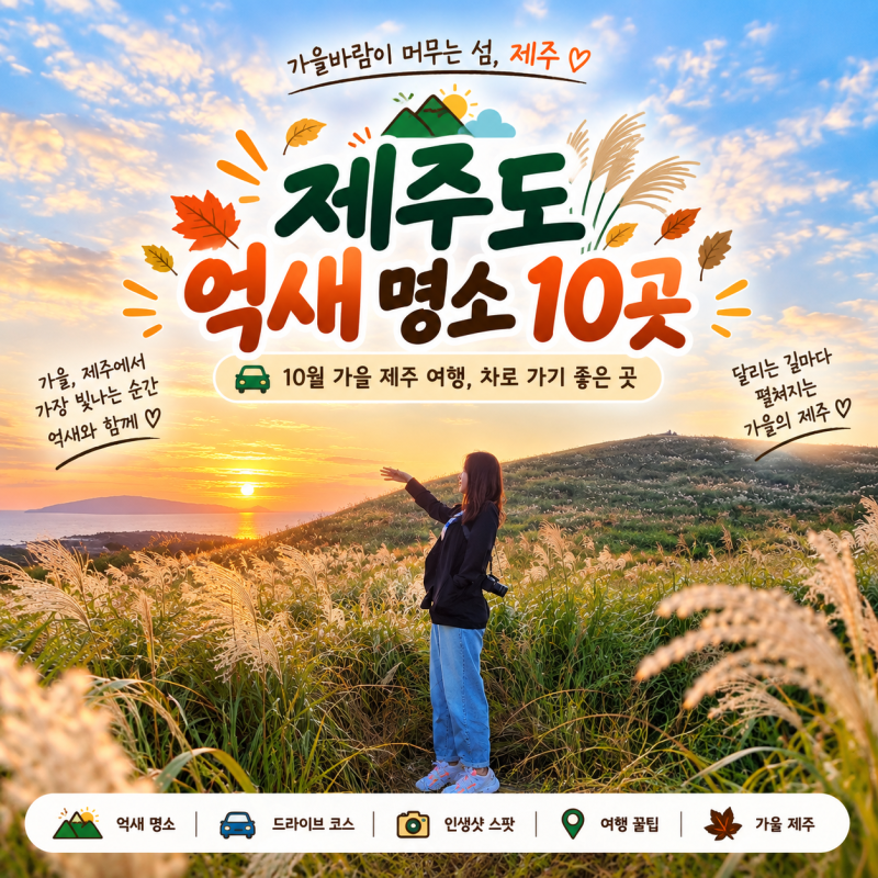 제주 억새 명소 10곳｜10월 제주도 가볼만한곳 가을 여행지 추천
