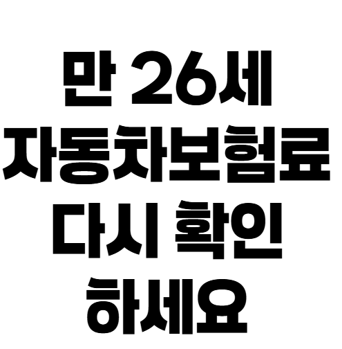 자동차보험 만 21세 vs 만 26세 보험료 차이, 왜 이렇게 클까?