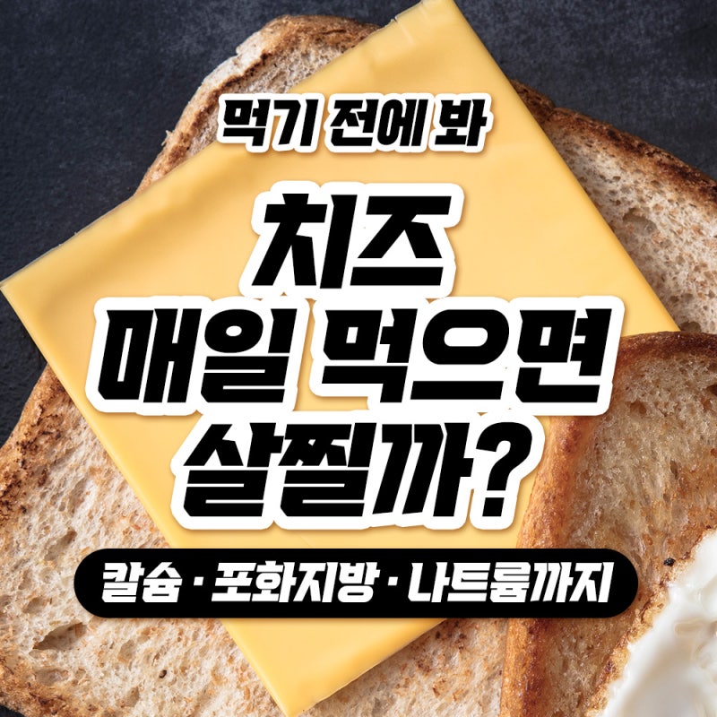 치즈 먹기 전에 봐｜매일 먹으면 살찔까? 포화지방·나트륨·유당불내증까지