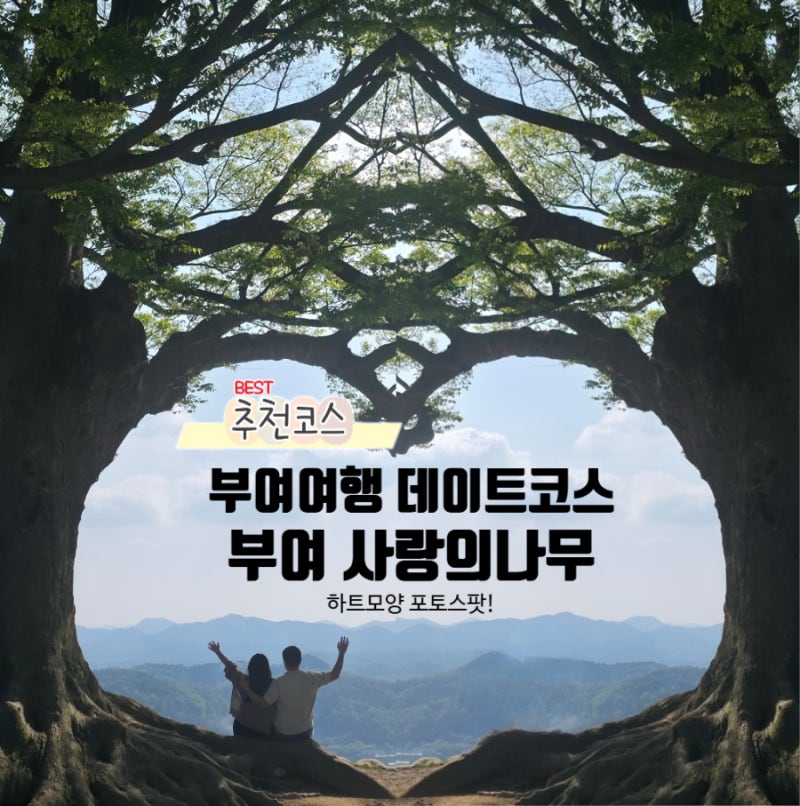 부여여행 부여 가볼만한곳 성흥산성 사랑의나무 하트나무 찍는법 및 포토존 위치