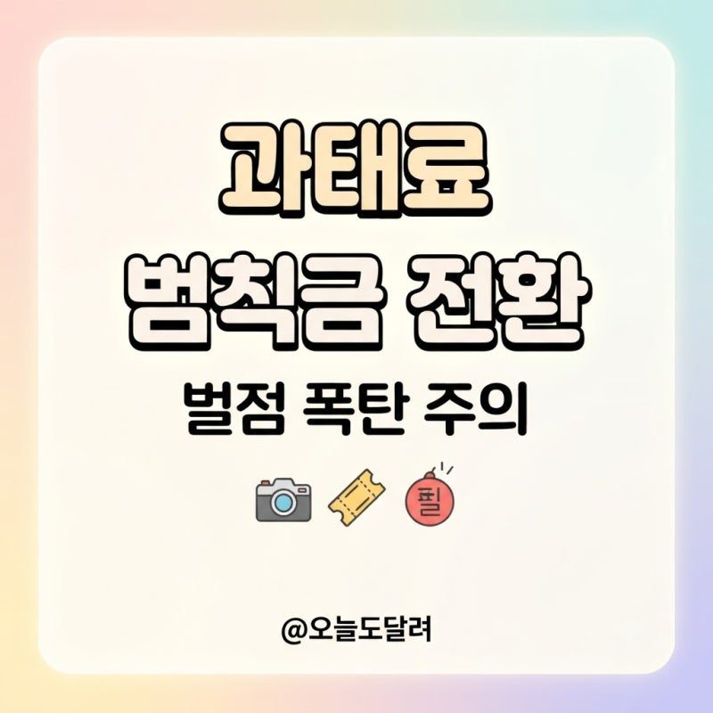 무인단속 과태료 범칙금 전환 싼 줄 알고 바꿨다가 면허정지 직격탄
