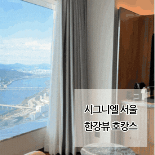 서울 잠실 롯데월드 호캉스 시그니엘 그랜드 디럭스 더블 리버뷰 한강뷰 _ 욕조, 어메니티, ....