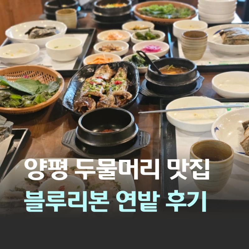 양평 두물머리 근처 블루리본 맛집 추천 연밭 연잎수육