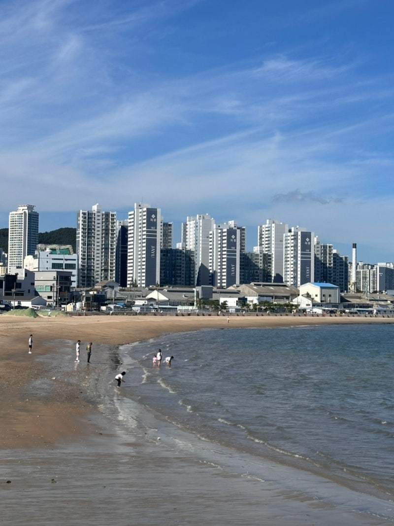 [Visiting In-Laws] Busan, Dadaepo Beach