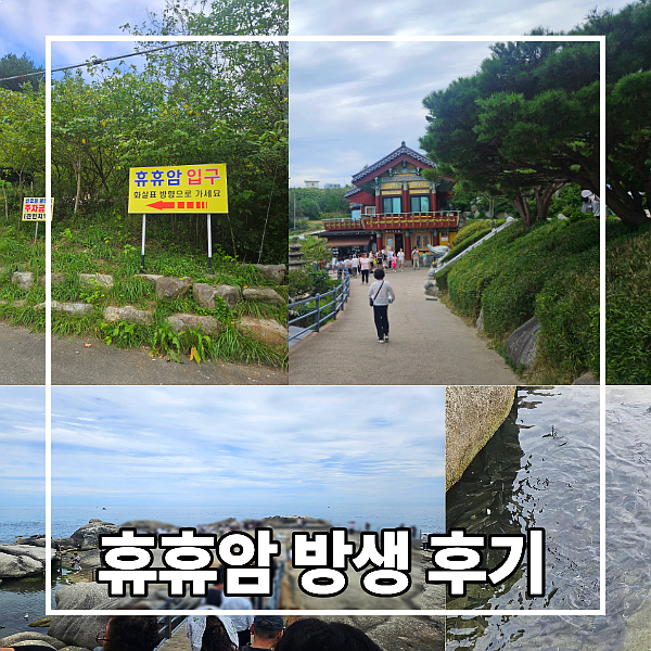 강원도 양양 휴휴암 방생 후기 연화법당에서 직접 해 본 방생의 의미와 방법