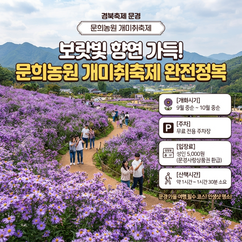 경북축제 문경 문희농원 개미취축제 개화시기·주차·입장료·산책시간