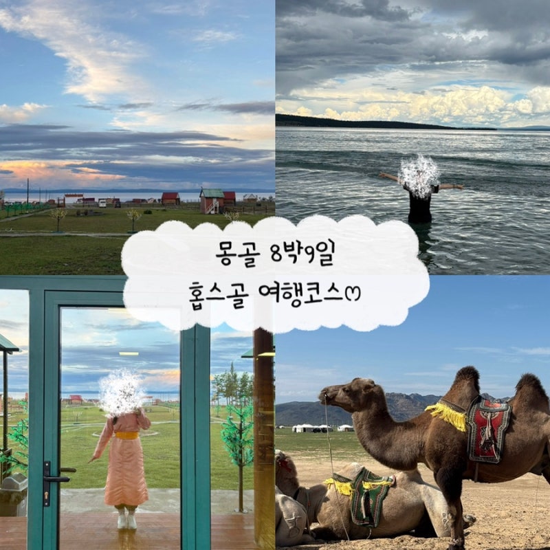 몽골 8박 9일 여행 | 홉스골, 무릉, 미니사막, 울란바토르, 테를지 여행 후기 | 동행 구하는법, ....