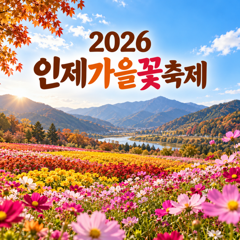 2026 인제가을꽃축제 무료라더니, 일정·주차부터 꽃길까지