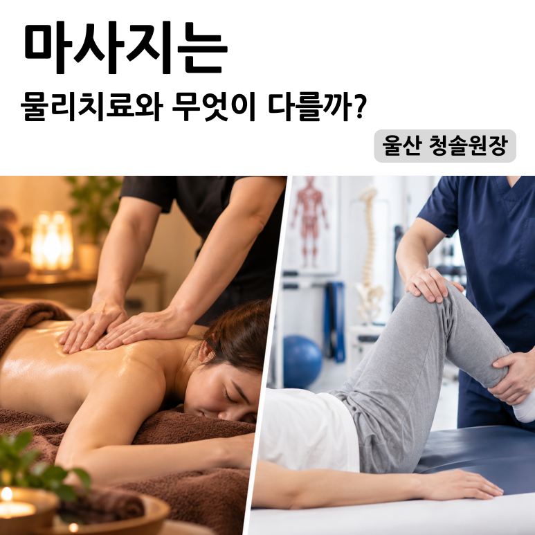 마사지와 물리치료의 차이점, 무엇이 다를까?