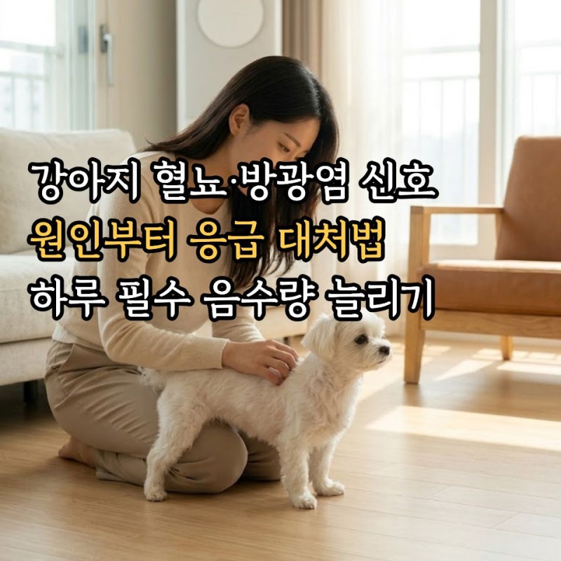 강아지 방광염 혈뇨 증상 원인과 하루 필수 음수량 늘리는 법