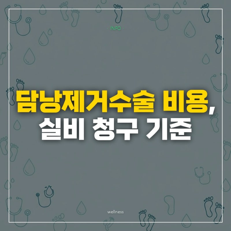 담낭제거수술 비용 300만원 각오했는데... 실손 청구로 줄어든 진짜 금액