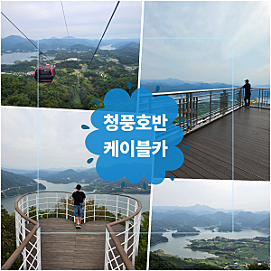 청풍호반케이블카 할인 방법, 비봉산 전망대 약초숲길 후기