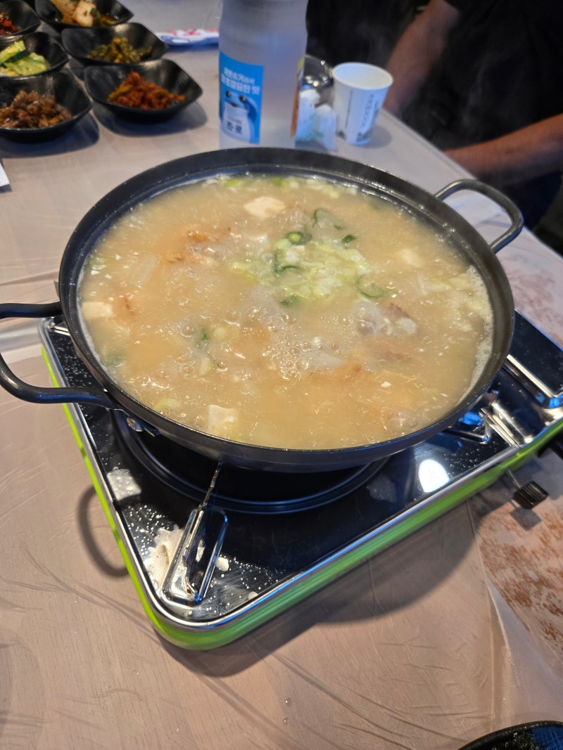 울릉도 여행 시작! 영등포 셔틀버스 타고 묵호항 도착 후 '묵호식당' 아침 식사 솔직 후기
