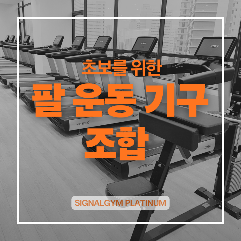 [옥정시그널짐] 초보를 위한 팔 운동기구 조합