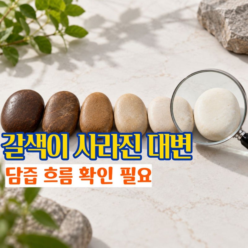 흰색변 갑자기 변색깔 하얗게 변하는 이유 정상적인 변상태와 다른 원인