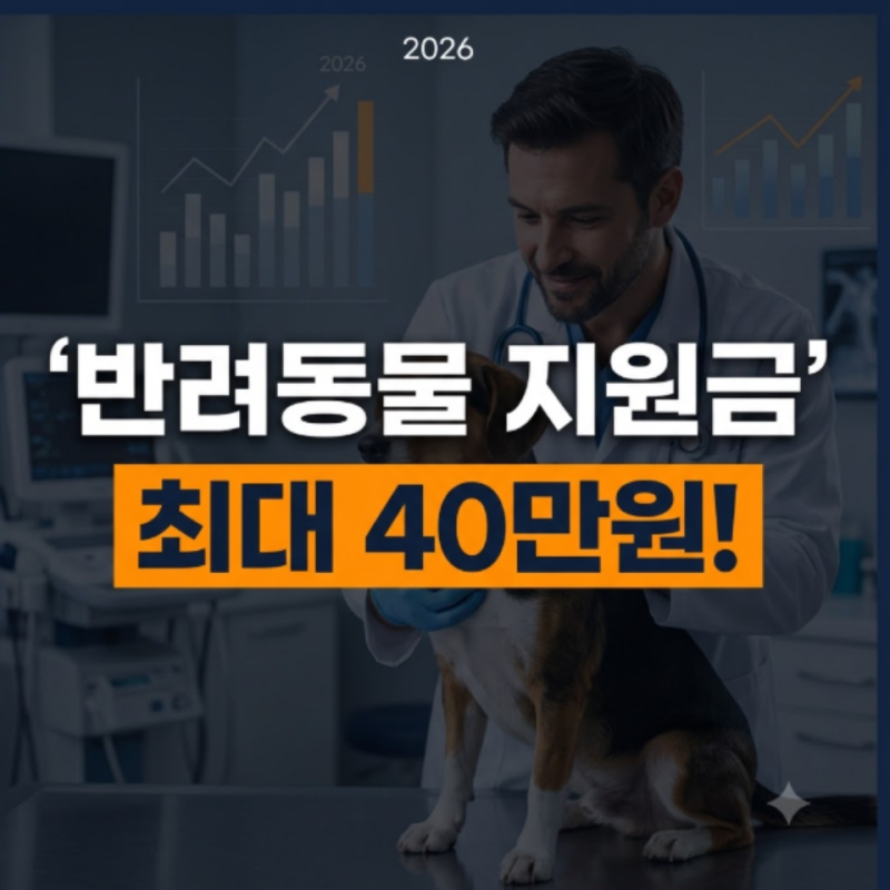 2026 반려동물 지원금 지역별 가이드: 경기도, 서울, 인천, 대구, 부산, 대전 총정리