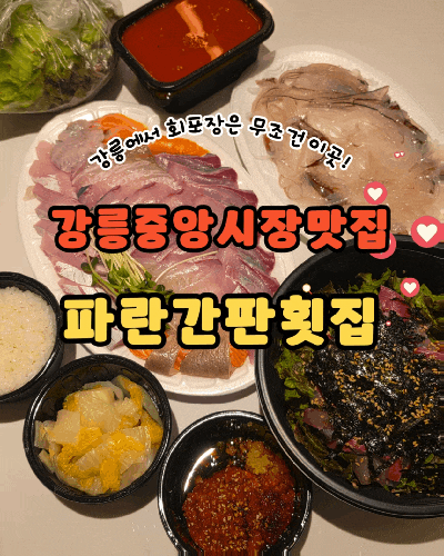 강릉 중앙시장 맛집 파란간판횟집 회포장 유명한 곳
