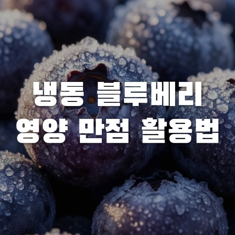 냉동 블루베리 영양과 혈당 관리, 똑똑한 섭취방법 정리