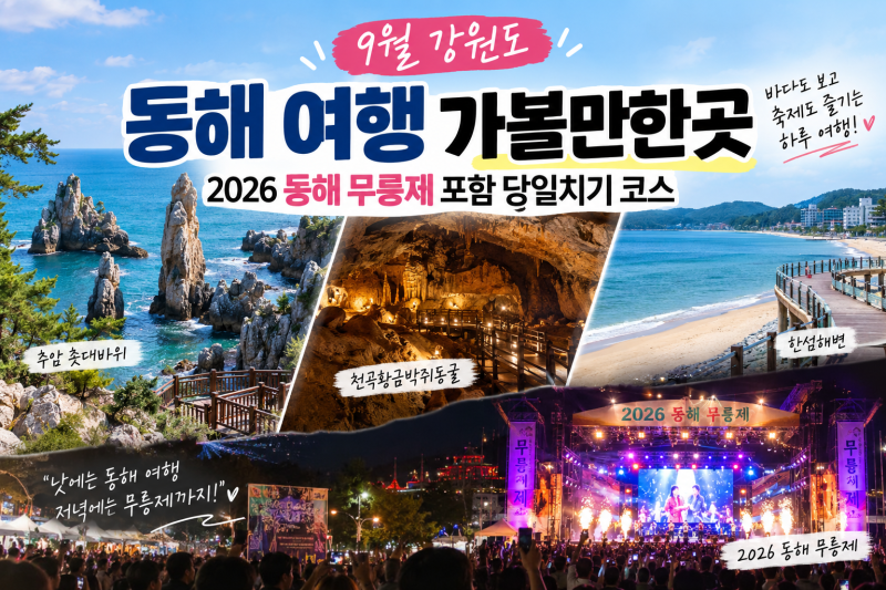 9월 강원도 동해 여행 가볼만한곳｜2026 동해 무릉제 포함 당일치기 코스