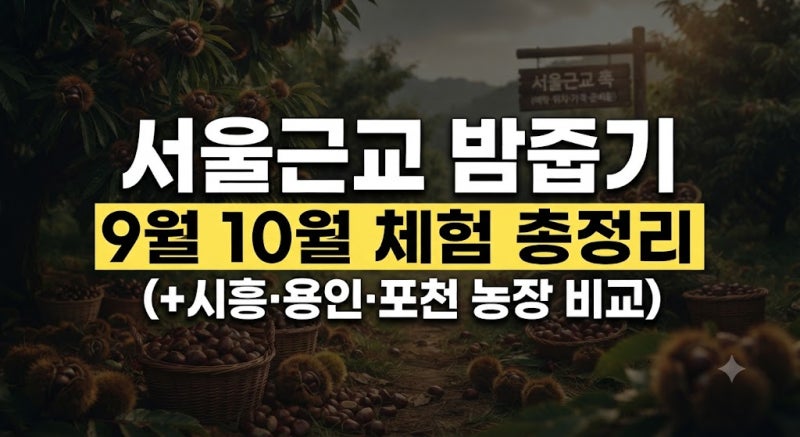 서울근교 밤줍기 체험 농장 예약·위치·가격·시기·준비물 총정리 (+시흥·용인·포천 농장 ....