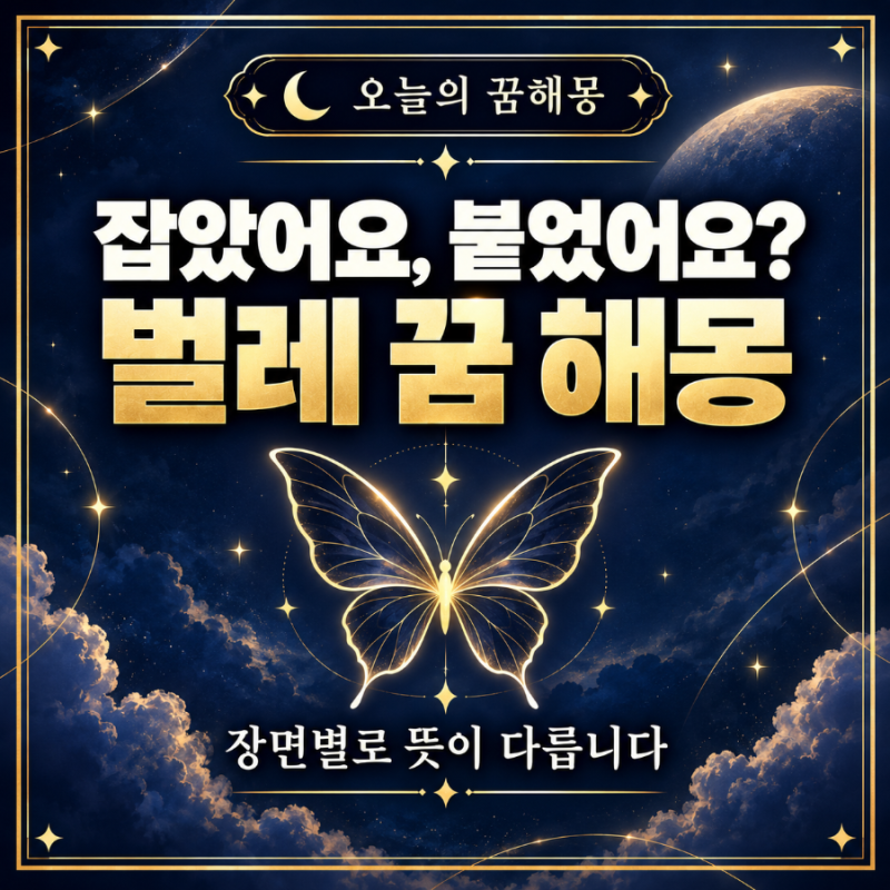 벌레 꿈 꿨는데 찝찝하다면, 잡았는지 붙었는지부터 확인하세요