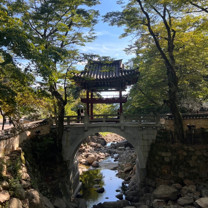 구례 가볼만한곳 천은사, 가을명소 미스터션샤인 촬영지