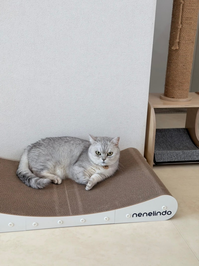 고양이 스크래쳐 대형 가성비 좋은 네네린도 소파 퀸 스크레쳐 리필형