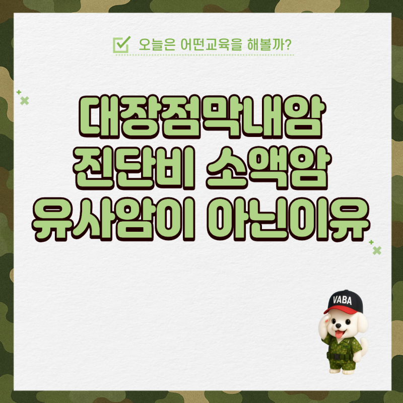 대장점막내암 진단비 소액암,유사암이 아닌 이유