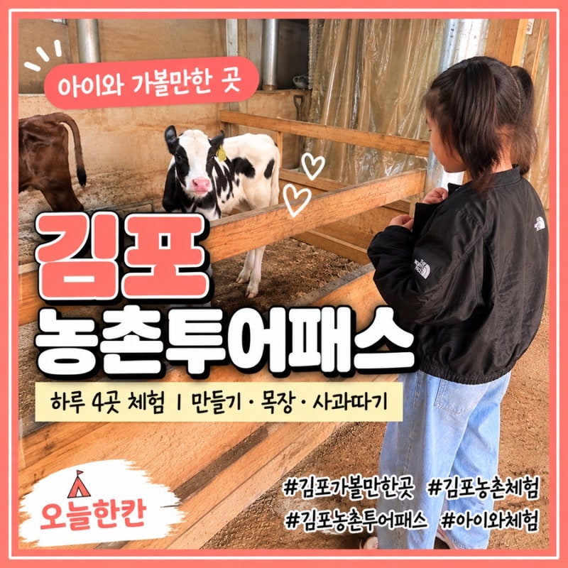 김포 가볼만한곳｜김포 농촌투어패스로 아이와 하루 4곳 농촌체험